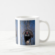 Eastern wild turkey, standing mug