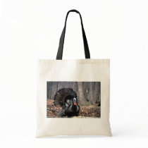 Eastern wild turkey strutting in woods canvas bags