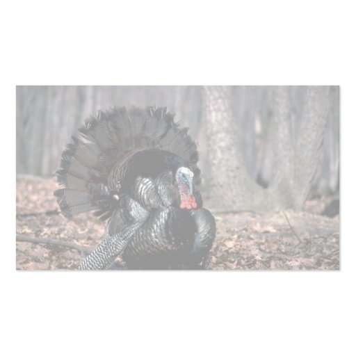 Eastern wild turkey strutting in woods business card templates (back side)