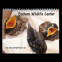 Eastern Wildlife Center calendars