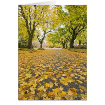 Eastmoreland Neighborhood In Autumn Card