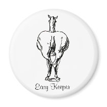 Easy Keeper magnets by NStride Easy Keeper magnets