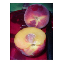 Eat A Peach posters by shore1 Eat A Peach posters