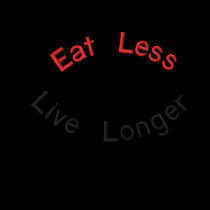 Eat Less, Live Longer Embroidered Shirt embroidered shirts