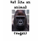 ladies_fitted_babydoll - This vegan t-shirt is truly an original!: Sizes s,m,l,xl Available colors: babyblue