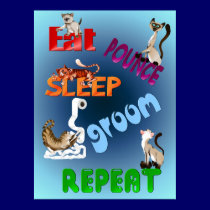 Eat, Pounce, Sleep, Groom, Repeat. Poster posters by Lotacats Eat, Pounce, Sleep, Groom, Repeat. Poster posters