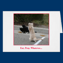 Eat, Pray, Whatever... cards