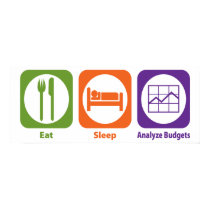 Eat Sleep Analyze Budgets posters