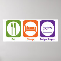 Eat Sleep Analyze Budgets Poster