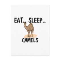 Eat Sleep CAMELS postcards by AnimalShirts Eat Sleep CAMELS postcards