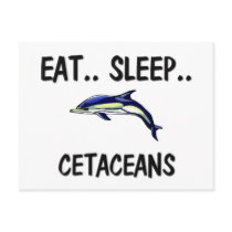 Eat Sleep CETACEANS postcards