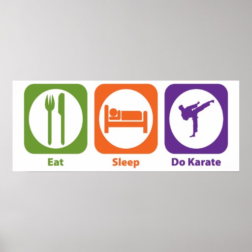 Eat Sleep Do Karate Posters