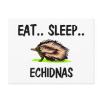 Eat Sleep ECHIDNAS postcards by AnimalShirts Eat Sleep ECHIDNAS postcards