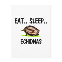 Eat Sleep ECHIDNAS postcards by AnimalShirts Eat Sleep ECHIDNAS postcards