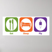 Eat Sleep Fly Posters