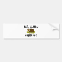 Eat Sleep GUINEA PIGS Bumper Stickers