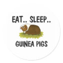 Eat Sleep GUINEA PIGS stickers by AnimalShirts Eat Sleep GUINEA PIGS stickers