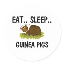 Eat Sleep GUINEA PIGS stickers by AnimalShirts Eat Sleep GUINEA PIGS stickers