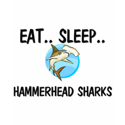 hammerhead shark eating. Eat Sleep HAMMERHEAD SHARKS