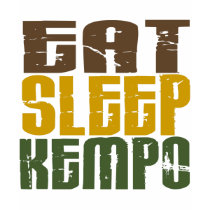 Eat Sleep Kempo 1 t-shirts