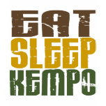 Eat Sleep Kempo 1 Tee Shirts