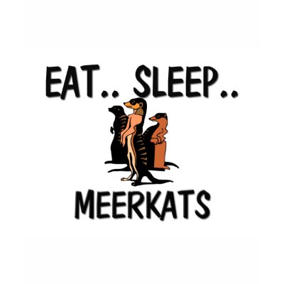 Eat Sleep MEERKATS Tshirt by AnimalShirts
