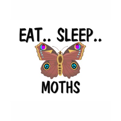 Eat Sleep MOTHS Tee Shirts by AnimalShirts