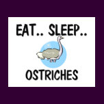 Eat Sleep OSTRICHES