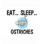 Eat Sleep OSTRICHES