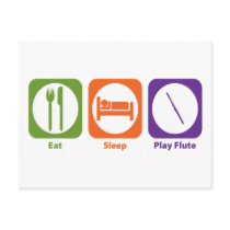 Eat Sleep Play Flute Postcard