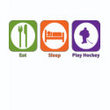 Eat Sleep Play Hockey shirt