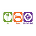Eat Sleep Play Volleyball posters