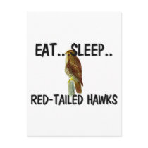 Eat Sleep RED-TAILED HAWKS postcards