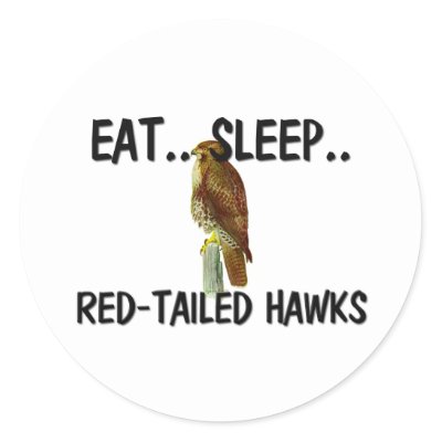  Tailed Hawk Eating on Eat Sleep Red Tailed Hawks Round Stickers From Zazzle Com