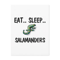 Eat Sleep SALAMANDERS postcards by AnimalShirts Eat Sleep SALAMANDERS postcards