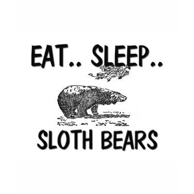 Eat Sleep SLOTH BEARS Shirts by AnimalShirts