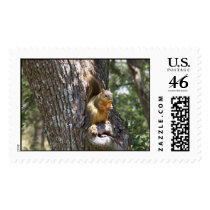 Eat Your Carrots Stamps