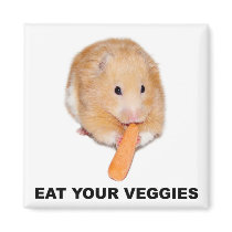 Eat your veggies magnets