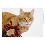 Eating Christmas decorations Greeting Card