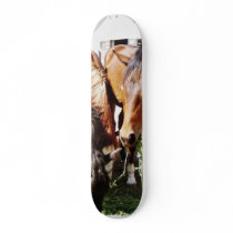 Eating Horses skateboards