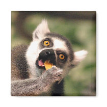 eating magnets by deemac1 eating magnets