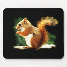 Eating Squirrel Mouse Pads
