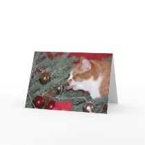 Eating the Christmas tree cards