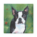 Ebert's Rocco magnets