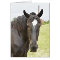 Ebony Card