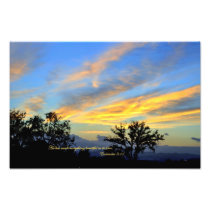 Ecclesiastes 3:11 He has made everything beautiful Photo Art