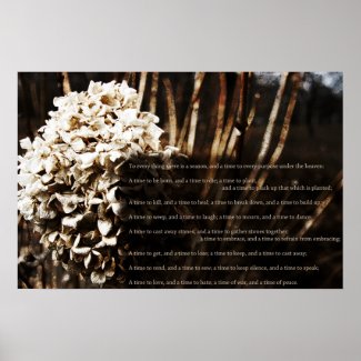 Ecclesiastes 3:1-8 poster