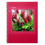 Ecclesiastes 3:1 Notebook