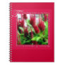 Ecclesiastes 3:1 Notebook
