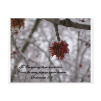 Ecclesiastes 3:1 postcards
